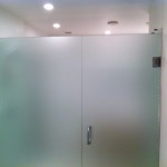 Frosted glass panel and door